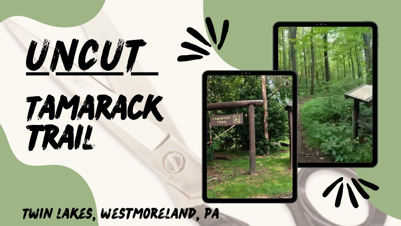 TimeLapse - Tamarack Trail