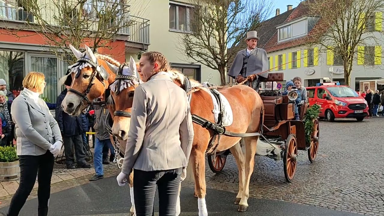 Kutschenprämierung am Rossmarkt in Niederstetten 2025