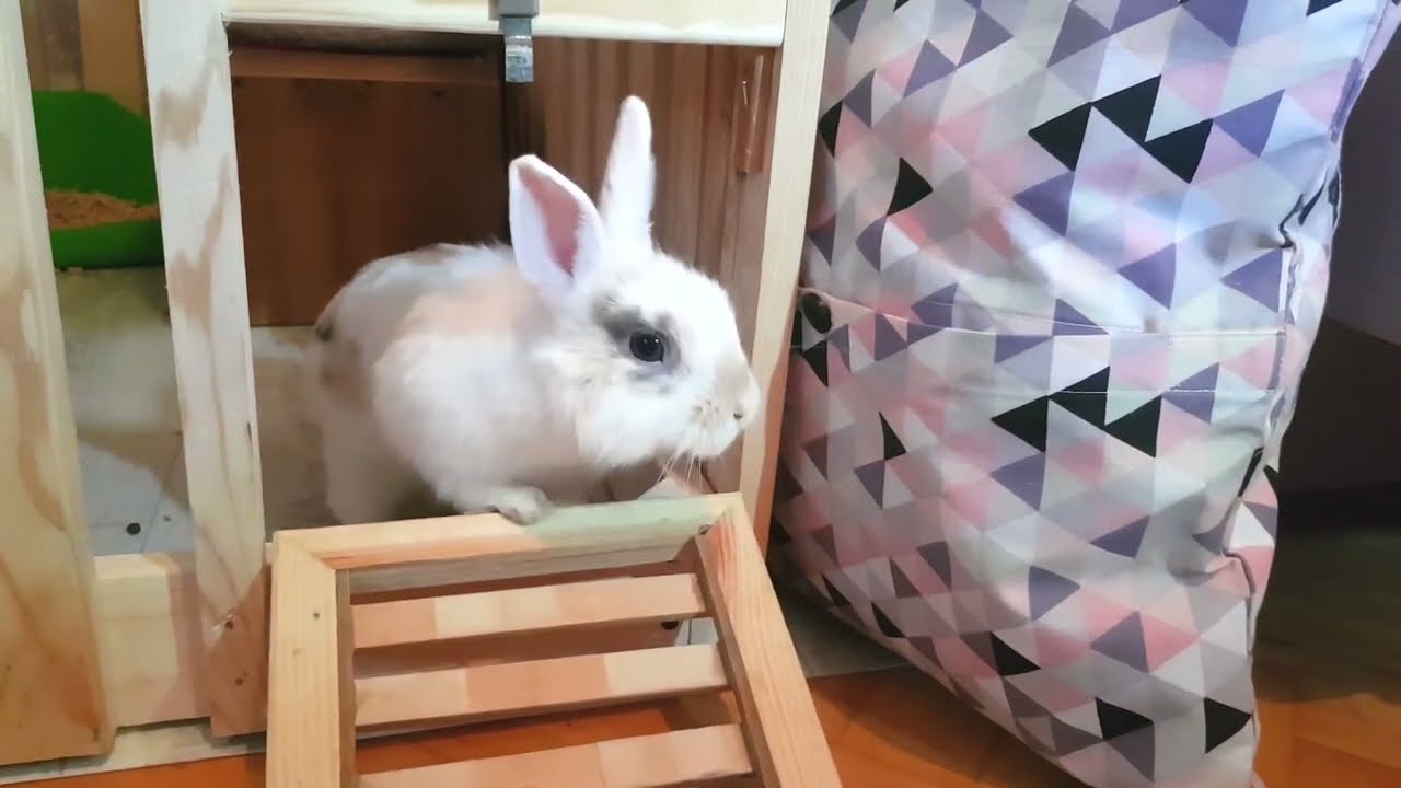 Pracownia stolarska WTZ Klika