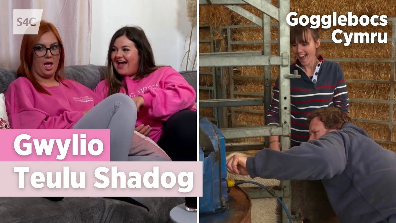 Criw Gogglebocs Cymru yn gwylio Teulu Shadog | S4C