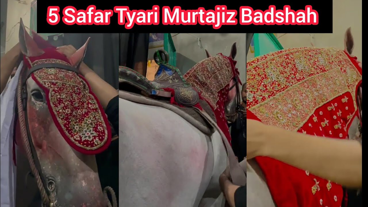 5 Safar Tyari Zuljana Murtajiz Badshah Wassan Pura lhr. Matwali Abid Shah Shadbagh LHR
