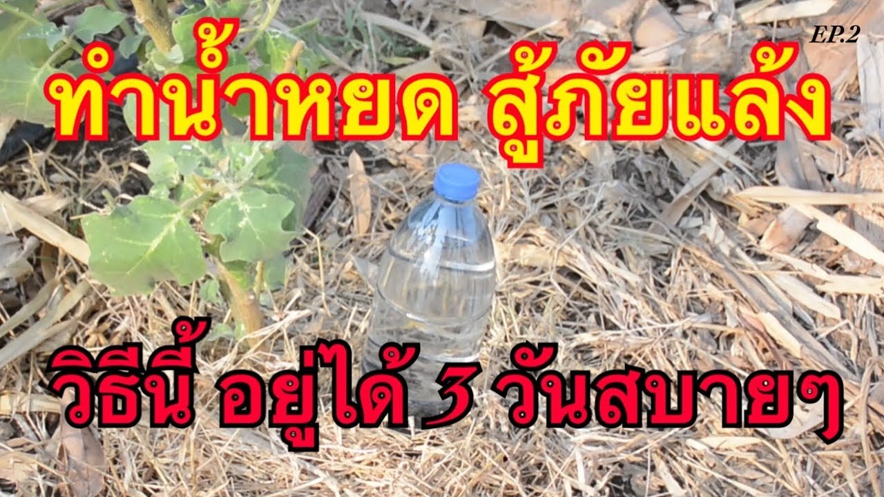 น้ำหยดแบบเติมน้ำง่ายๆ ไม่อยู่บ้าน 3 วัน ต้นไม้ยังเขียว | น้ำหยดสู้ภัยแล้ง จากขวดพลาสติก EP.2