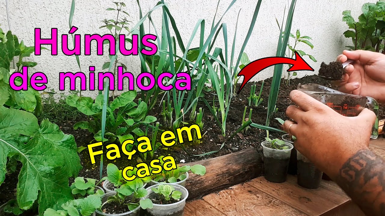 Húmus de Minhoca O que é e Como Usar na Horta e Plantas