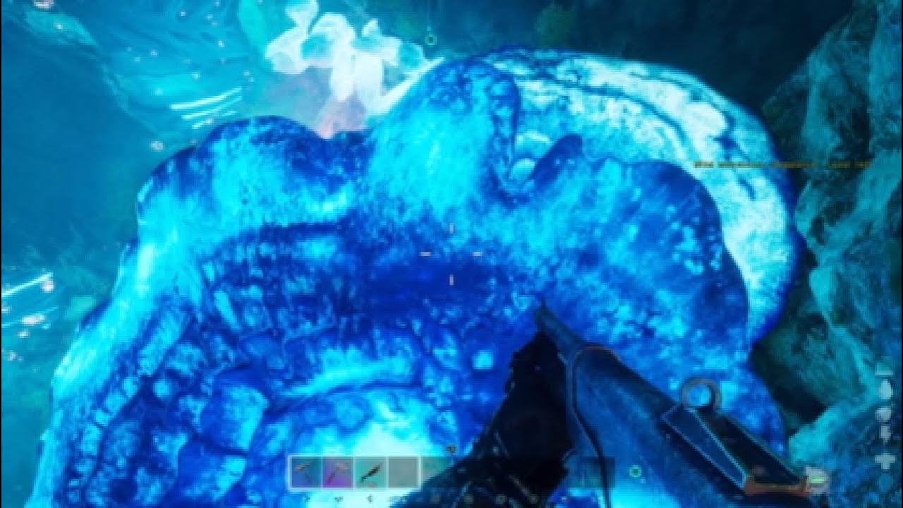 Ark