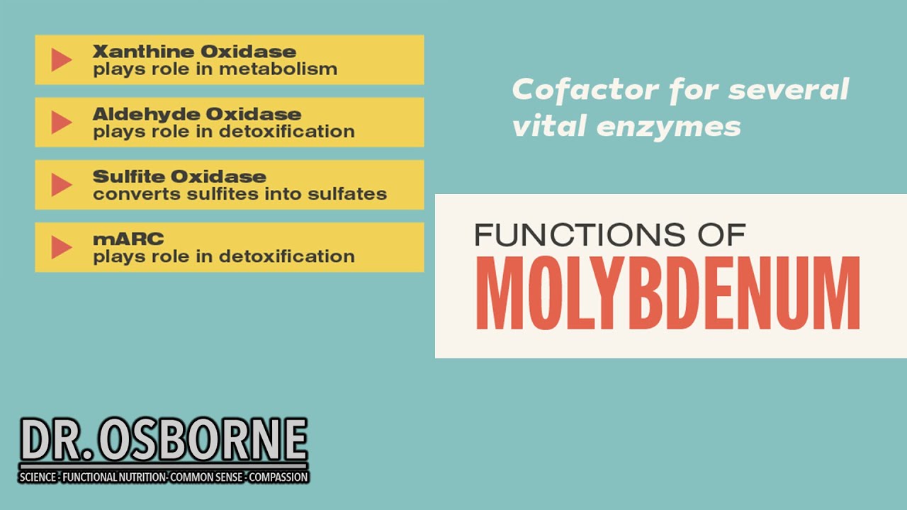 Discover How Molybdenum Affects Your Body's Metabolism!