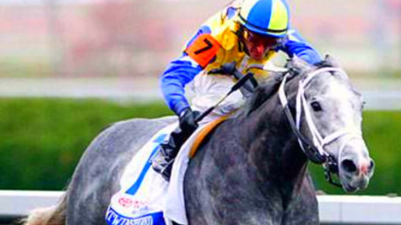 Rival Stars Horse Racing PC Download Foals Beyond Level 7 Standard Grain Breeding iOS