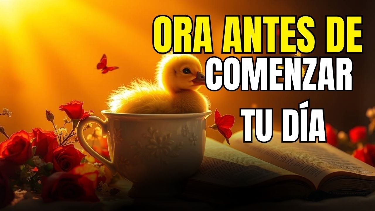 DOMINGO 15 DE FEBRERO, ORACIÓN DE HOY: ARRAIGADOS EN LA FIDELIDAD INQUEBRANTABLE DE DIOS 🌅🙏