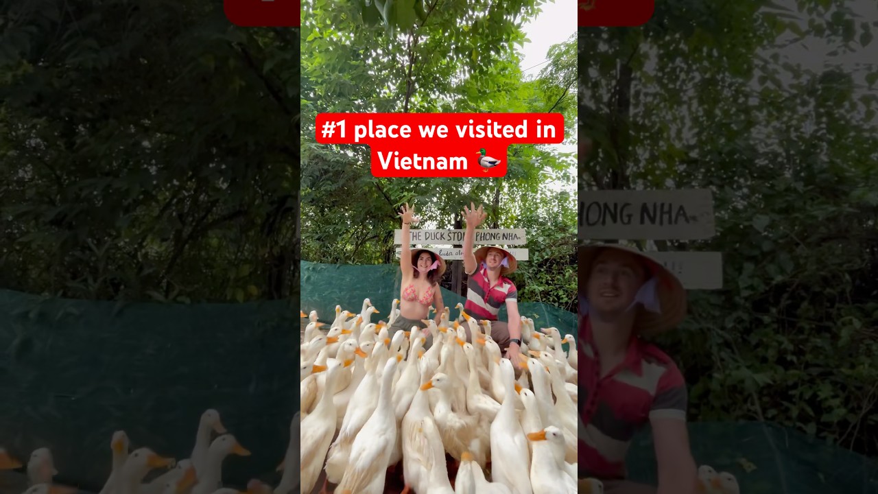 Herding Ducks in Vietnam! 🦆 | Fun Couple Adventure at the Duck Stop, Phong Nha