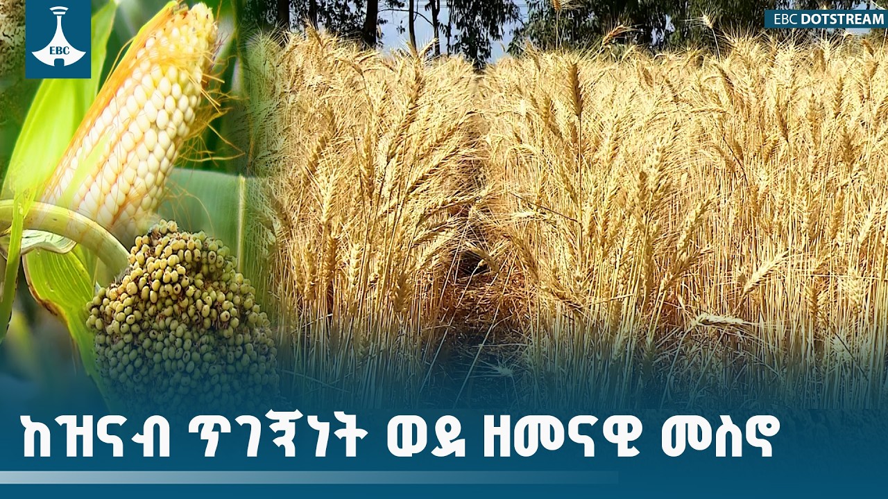 ከዝናብ ጥገኝነት ወደ ዘመናዊ መስኖ