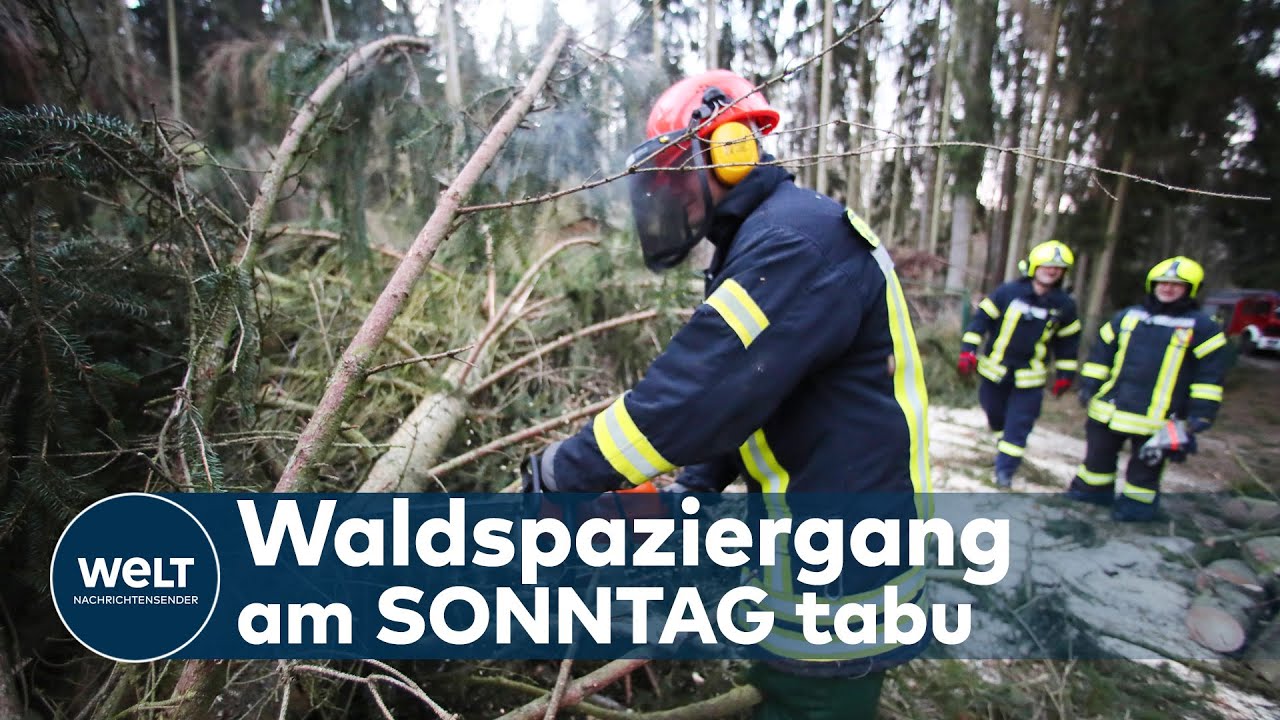 HEFTIGES ORKANTIEF KOMMT: Schwerer Sturm ab Sonntag - bis zu Windst&auml;rke 12 droht