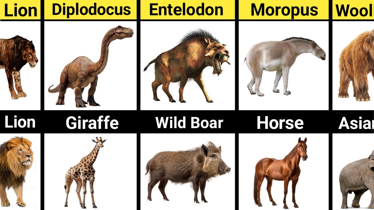 ⭐ Ancient Titans ➜ The Smaller Animals That Survived