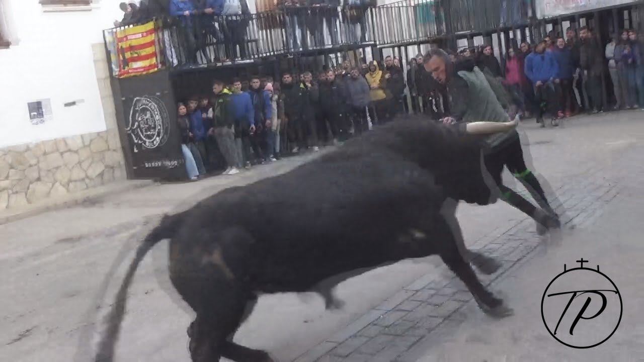 1-3-25 Villahermosa del Rio. Toros del Val y Hns Colomer y Vacas de Hns Colomer