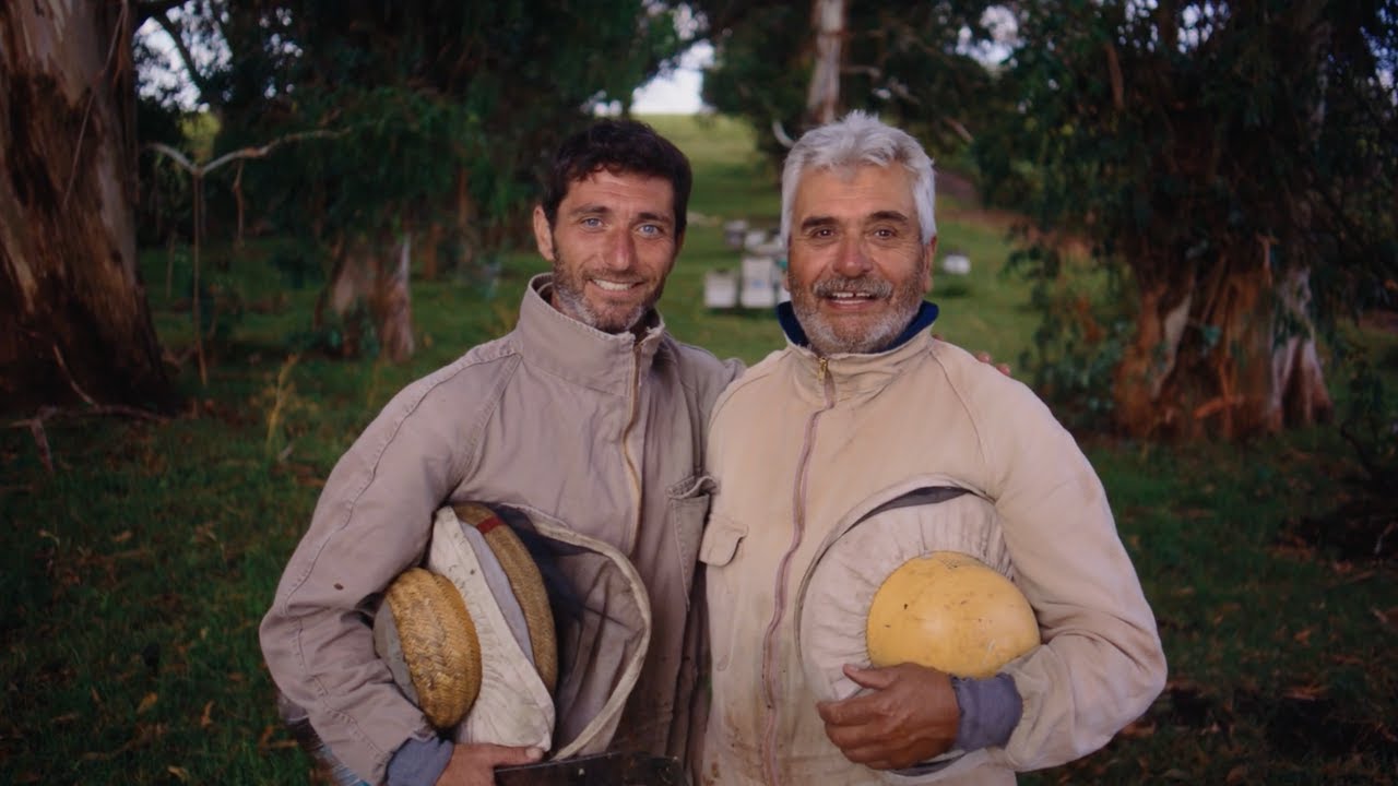 Celebrating Beekeeping: A Global Story - Argentina