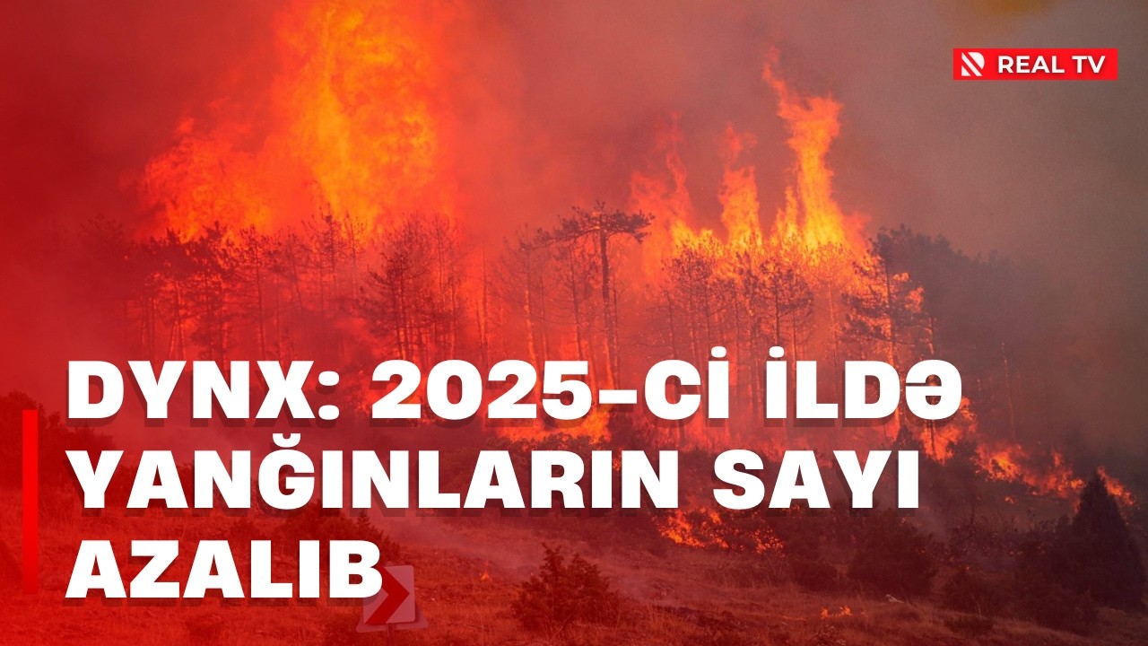 DYNX: Qaydalara biganəlik 3 ayda 28 nəfərin həyatını alıb