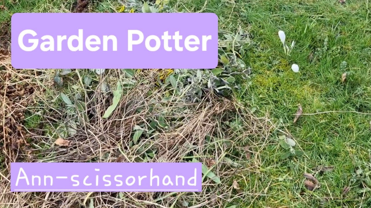 Garden Potter, Ann-scissorhands, more sawhands, probably!!💚