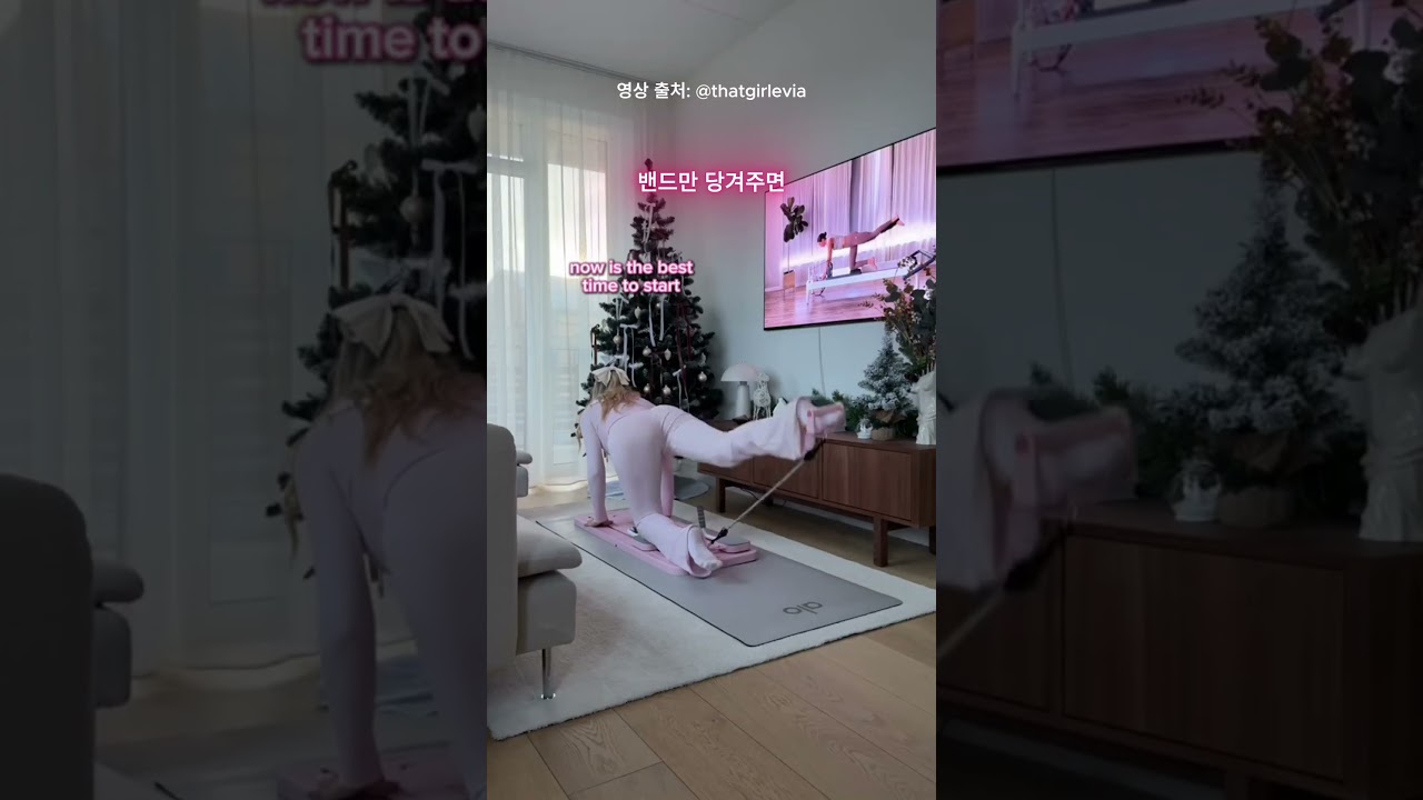 요즘 틱톡에서 난리 난 홈트템🏋️ 필라테스 보드