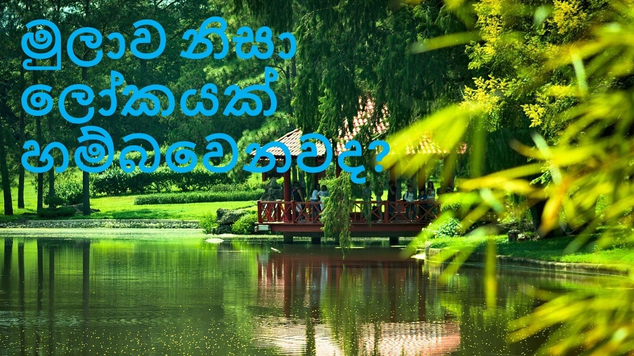 මුලාව නිසා ලෝකයක් හම්බවෙනවද?