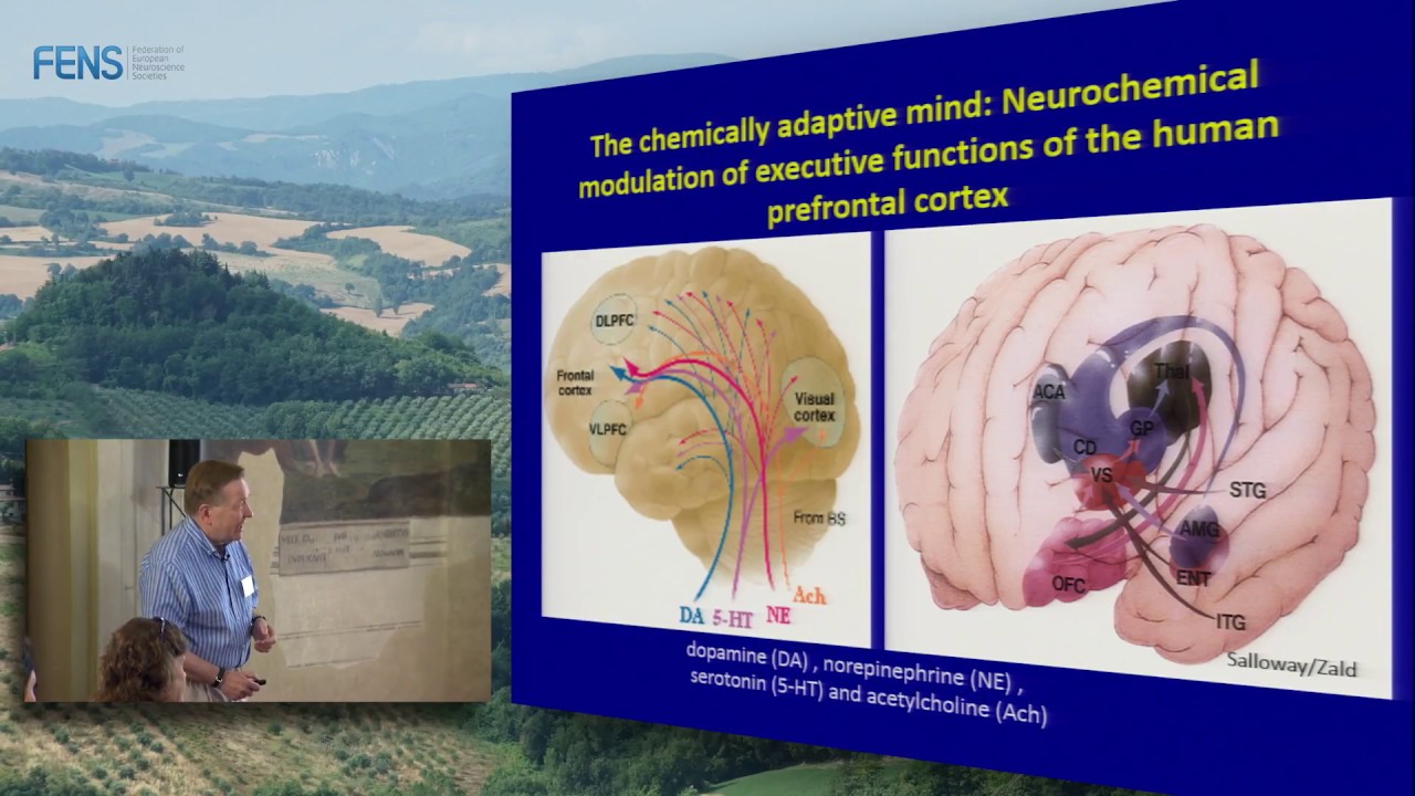 Trevor Robbins on Chemical Neuromodulatory Systems: An Overarching Perspective