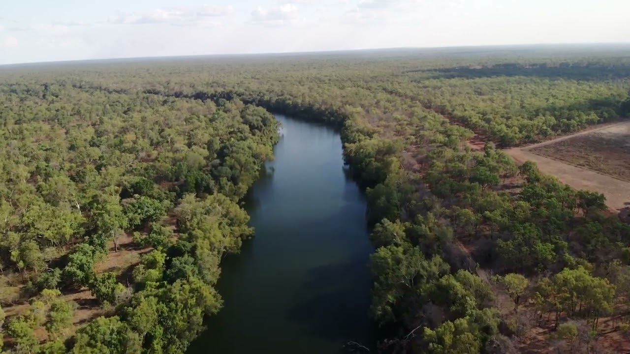 Drone @ Kalpower, Lakefield NP.
