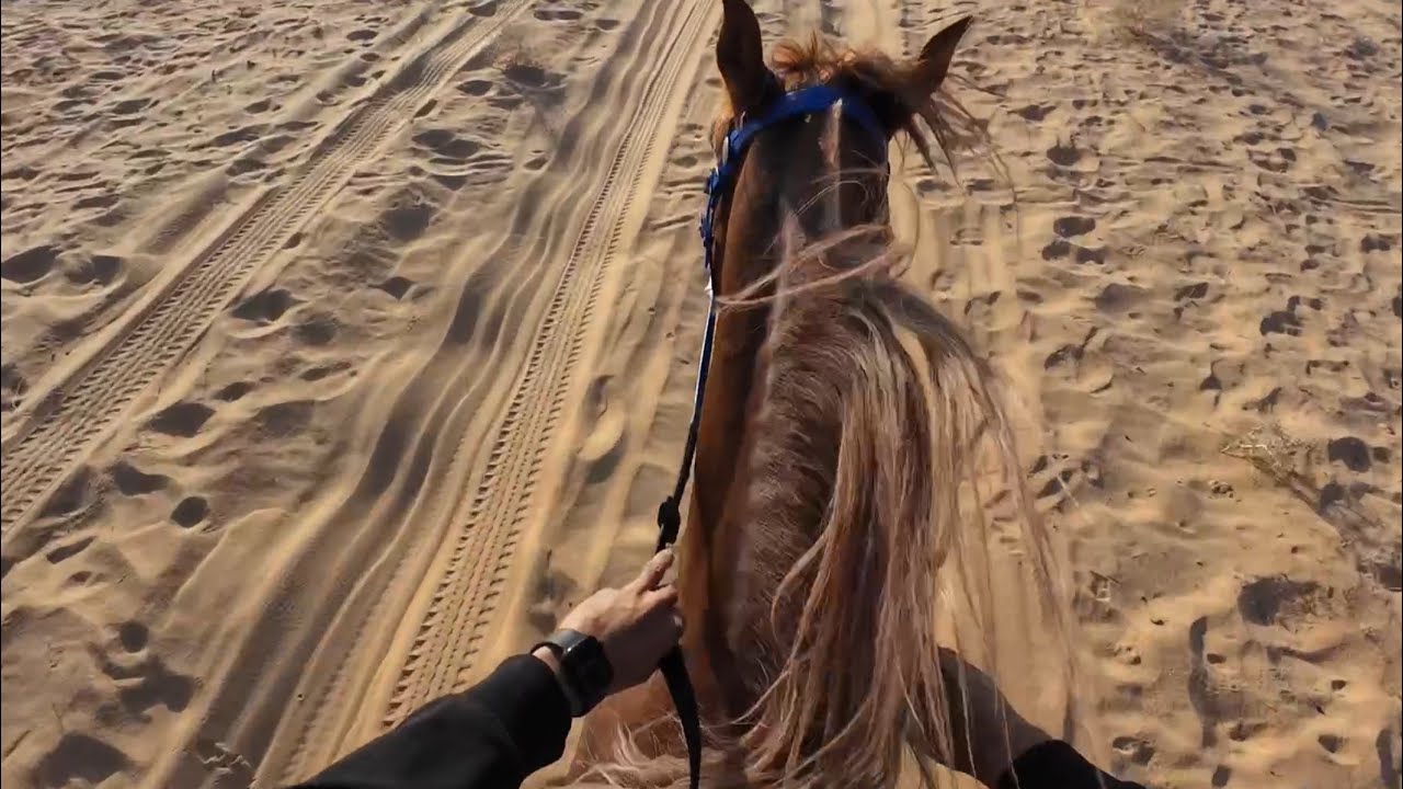 ٩ || ركوب التأهيل للشتاء + أهميّة التبديل 🐎