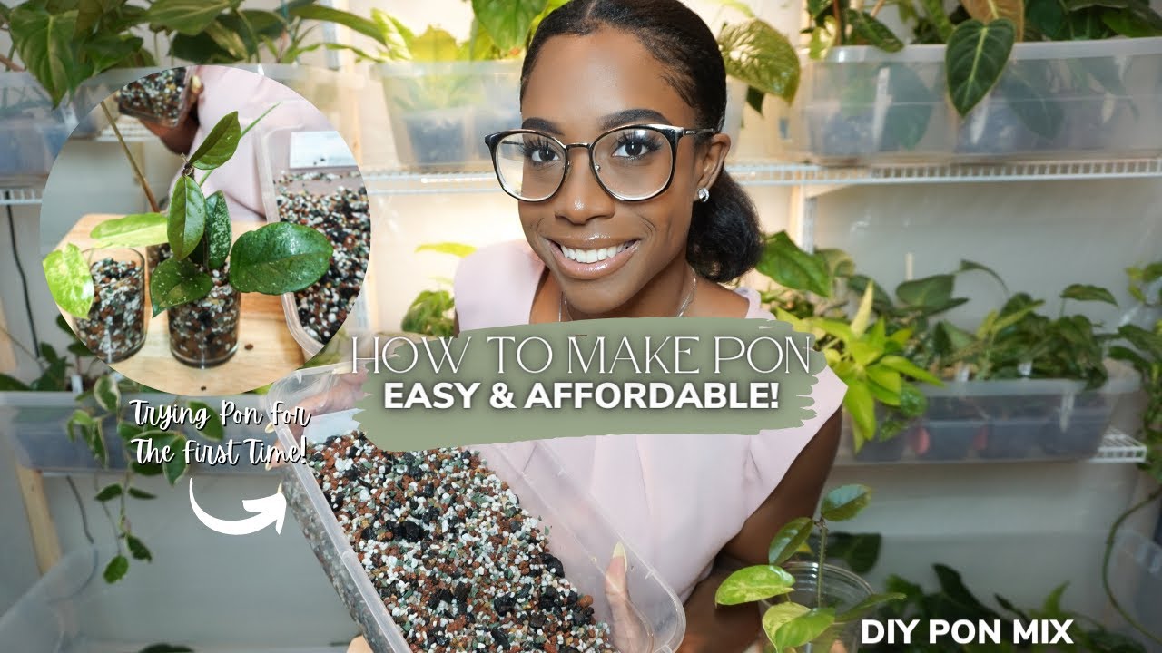 How To Make Pon For Your Plants | DIY Pon | Repotting Plants In Pon | Trying Pon For The First Time!