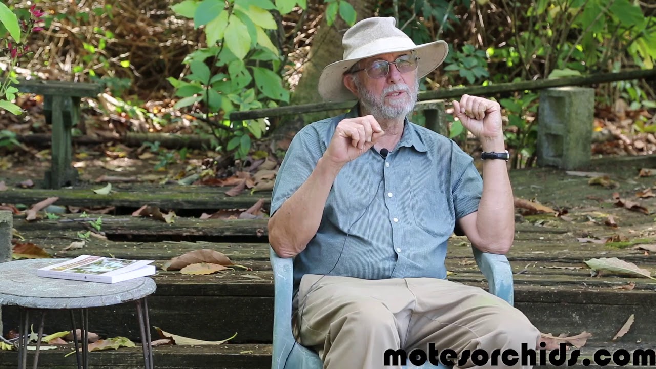 Florida Orchid Growing Part 4: Diseases and Pests