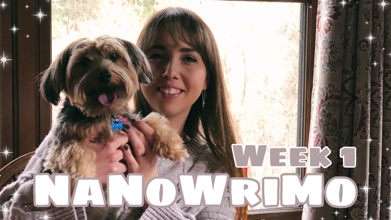 Starting off strong and a ~writing retreat~ // NaNoWriMo 2020 Writing Vlog #1