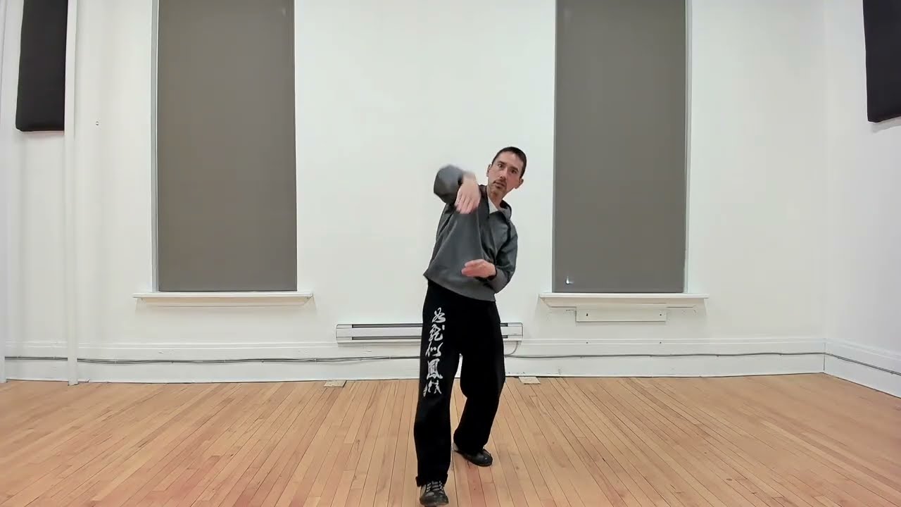 bagua palm techniques training spearing palm