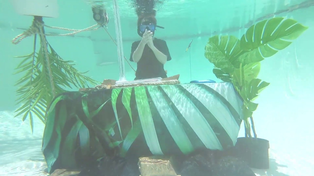 WORLD&rsquo;S FIRST UNDERWATER DJ SET (Chet Porter: Digital Mirage 2)