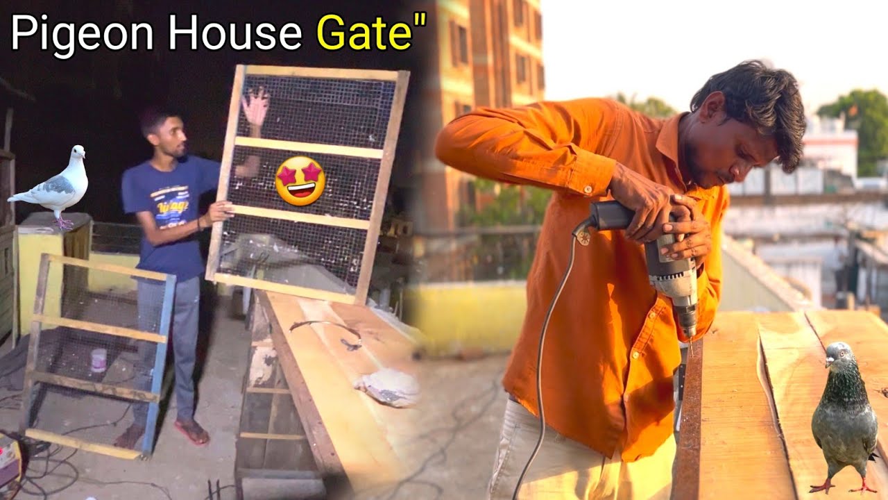 Kabootar ki Peti Ka Gate Ban Gaya 🤩 !! Pigeon 🕊️ House Meking Part-2