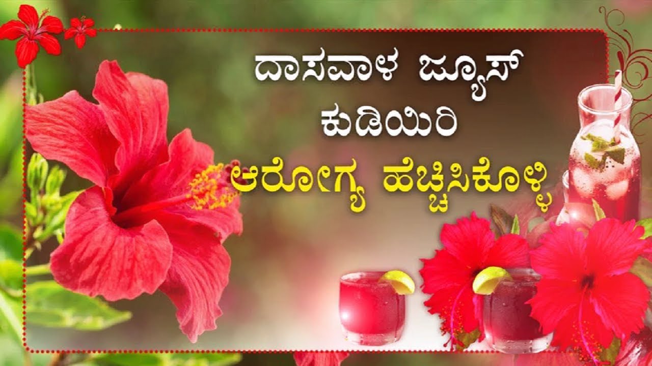 Hibiscus Flower Juice Health Benefits | Public TV