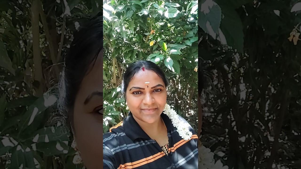 காதல் கடிதம் #shortsviral #song #lovemusic #youtubeshorts #youtuber 🌺🌿🌺🌿🌺❤️🌿❤️🌿❤️