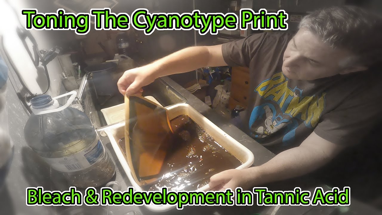 Toning The Cyanotype Print: Bleach & Redevelopment in Tannic Acid