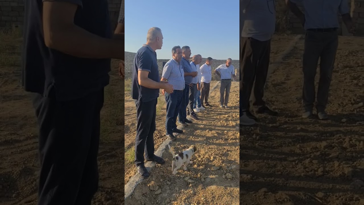 Cəhri Gülşənəbad Qəbirsandıxı