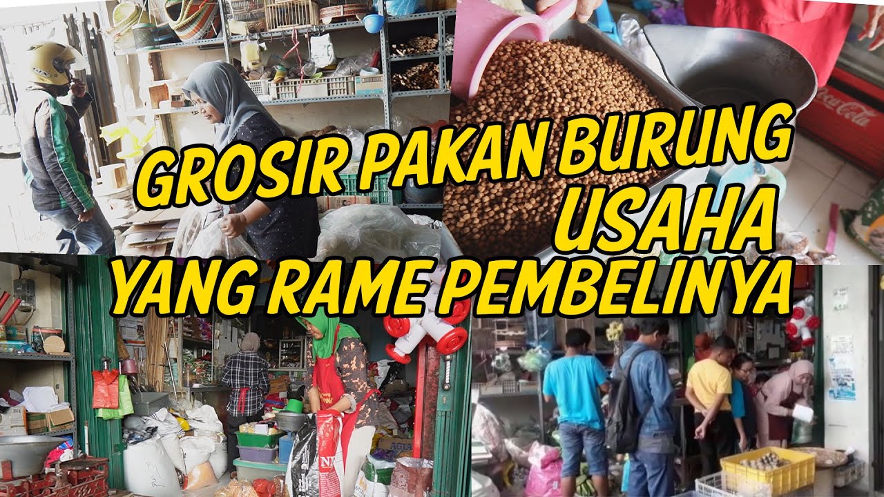 USAHA SEPANJANG MASA PAKAN BURUNG SELALU DI MINANTI BANYAK PEMBELI || GROSIR PAKAN BURUNG