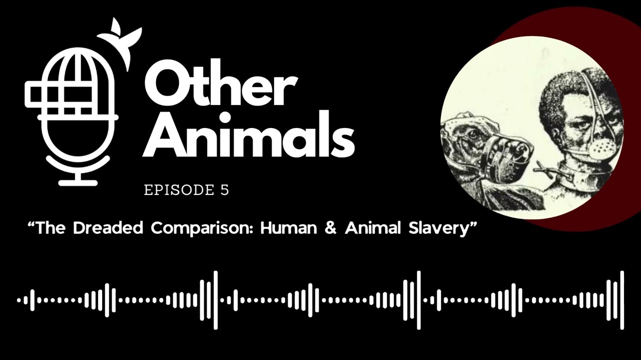 The Dreaded Comparison: Human & Animal Slavery - Part 1