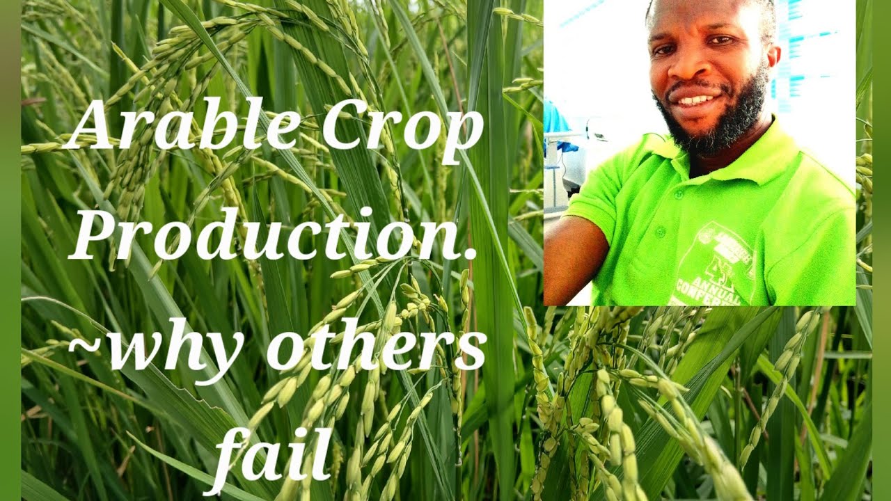 Copy of Crop Husbandry (Arable Crops) Lecture 1.