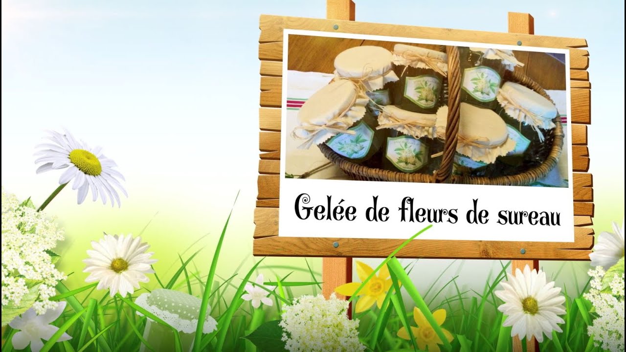 Les tutos de Catherine   La gelée de fleurs de sureau