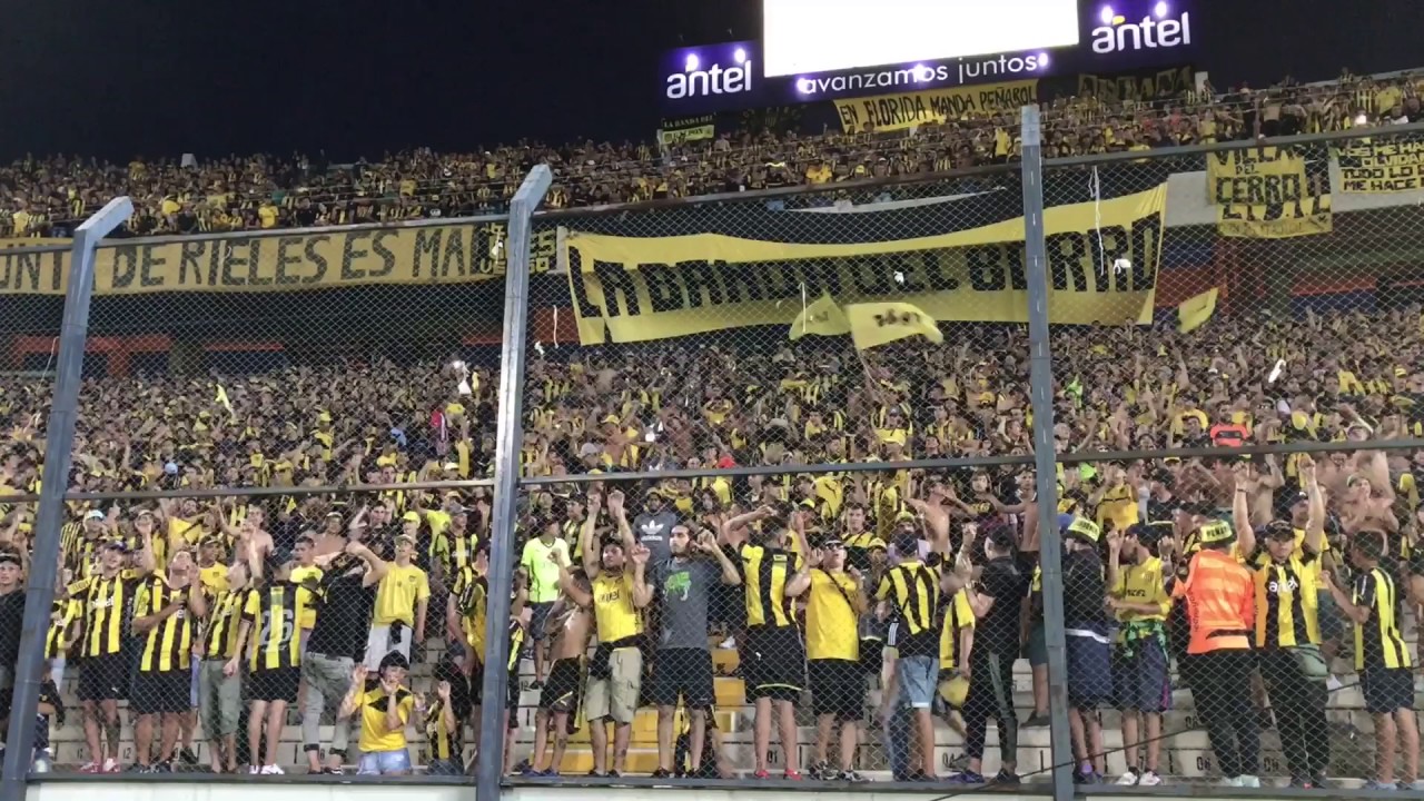 Hinchada de Peñarol - Despacito - Campeón del Siglo