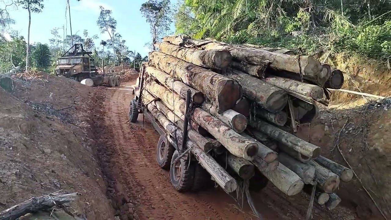 log truck malaysia the power off V8 340 PS wood production reserves [ lori balak malaysia ]