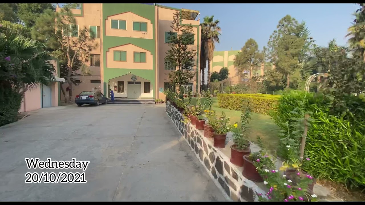 Routine at Peshawar dental college