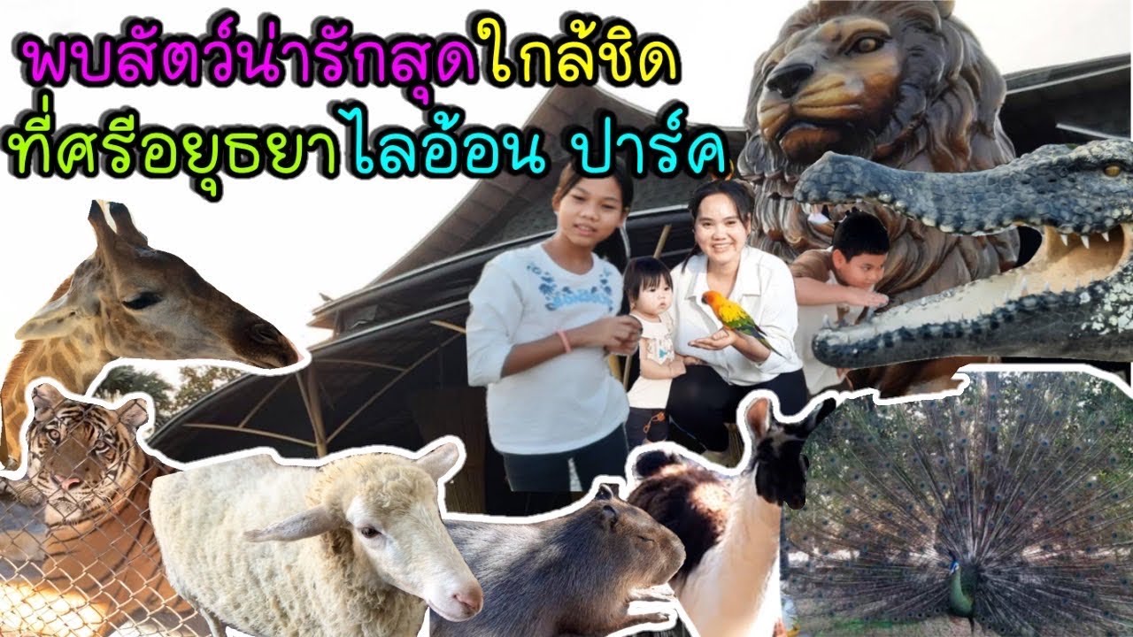 สัมผัสธรรมชาติและสัตว์ป่าอย่างใกล้ชิด ศรีอยุธยาไลอ้อนปาร์ค 🦁 สนุกได้ทั้งครอบครัว #พี่น้อง3ต.