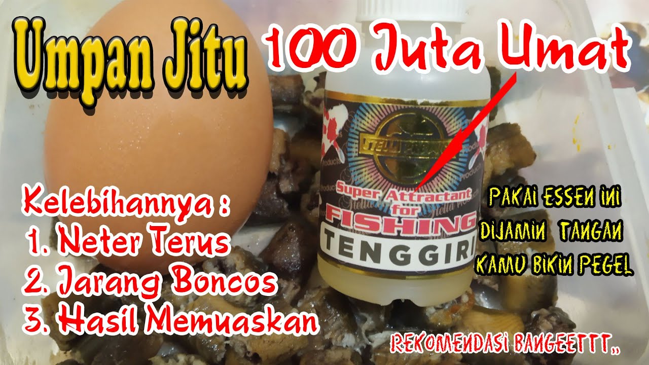 MACING LELE MASIH KURANG MAKSIMAL PAKAI ESSEN INI DIJAMIN NETER TERUS