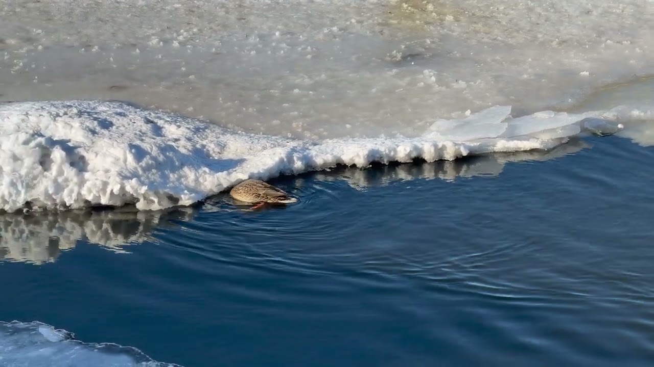 Челябинск. февраль 2026г. снято  на айфон 17 про макс.
