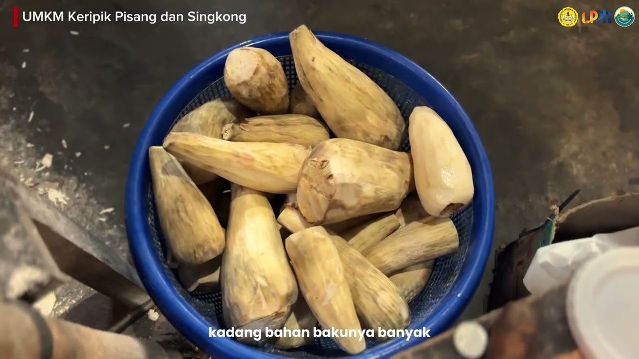 BRANDING VIDEO : UMKM BETITI SARI