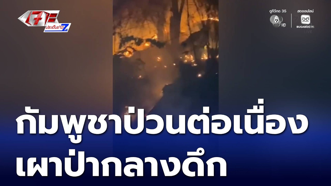 กัมพูชาป่วนต่อเนื่อง เผาป่ากลางดึก | เจาะประเด็นข่าว 7HD