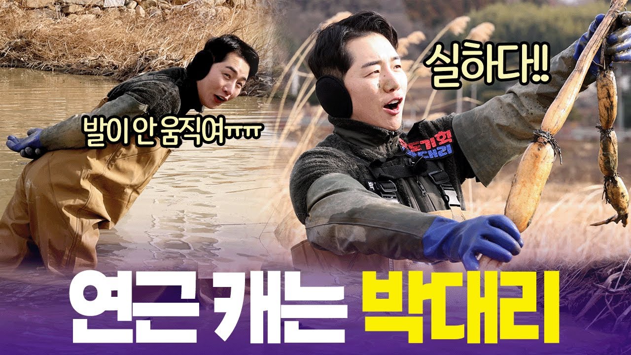 낮에는 연근 캐고 밤에는 반찬 뚝딱 만들고🧑🏼‍🍳만능 박대리 [6시 내고향] | KBS 260109 방송
