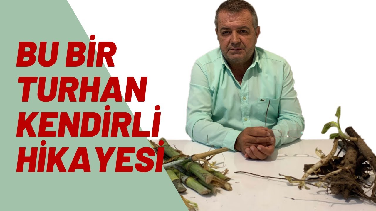 BU BİR 