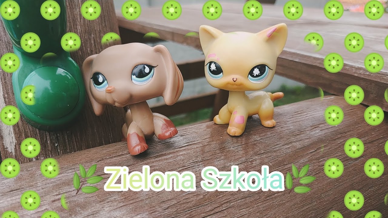 LPS: 🌿Zielona szkoła🌿 (po polsku)