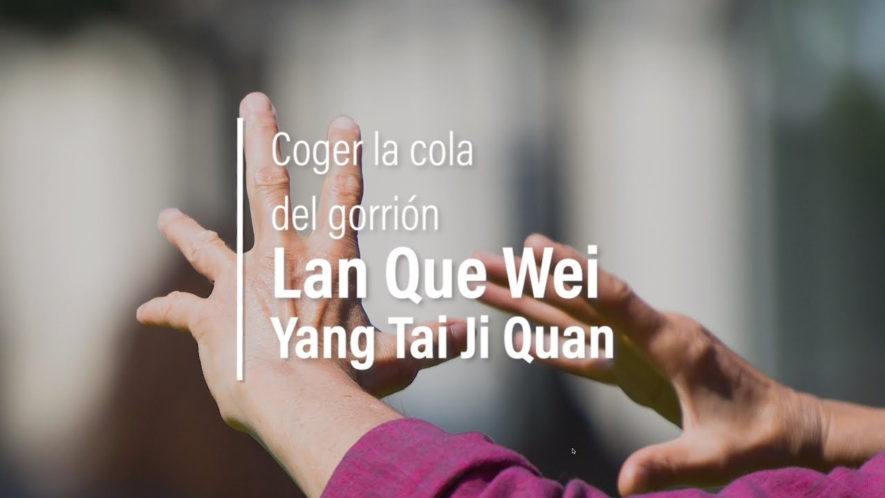 Tutorial de Tai Chi: Coger la cola del gorrión (Yang Tai Ji Quan)